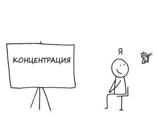 Разрыхлитель Мозгов™ tweet media