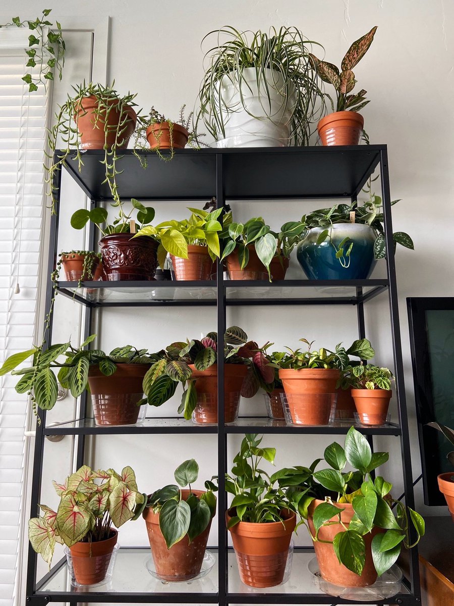 stylishmaya's tweet image. Only a 2 month difference. 😍✨🍃