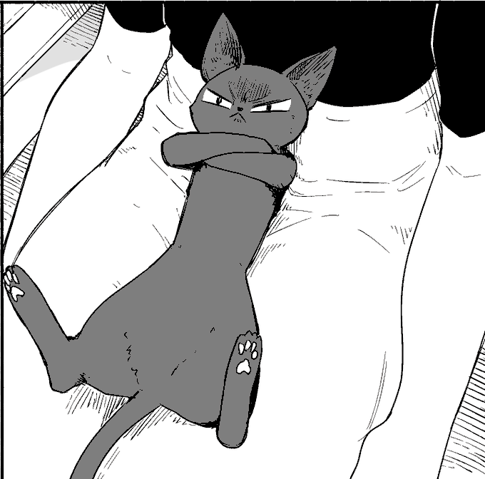 オコ猫 