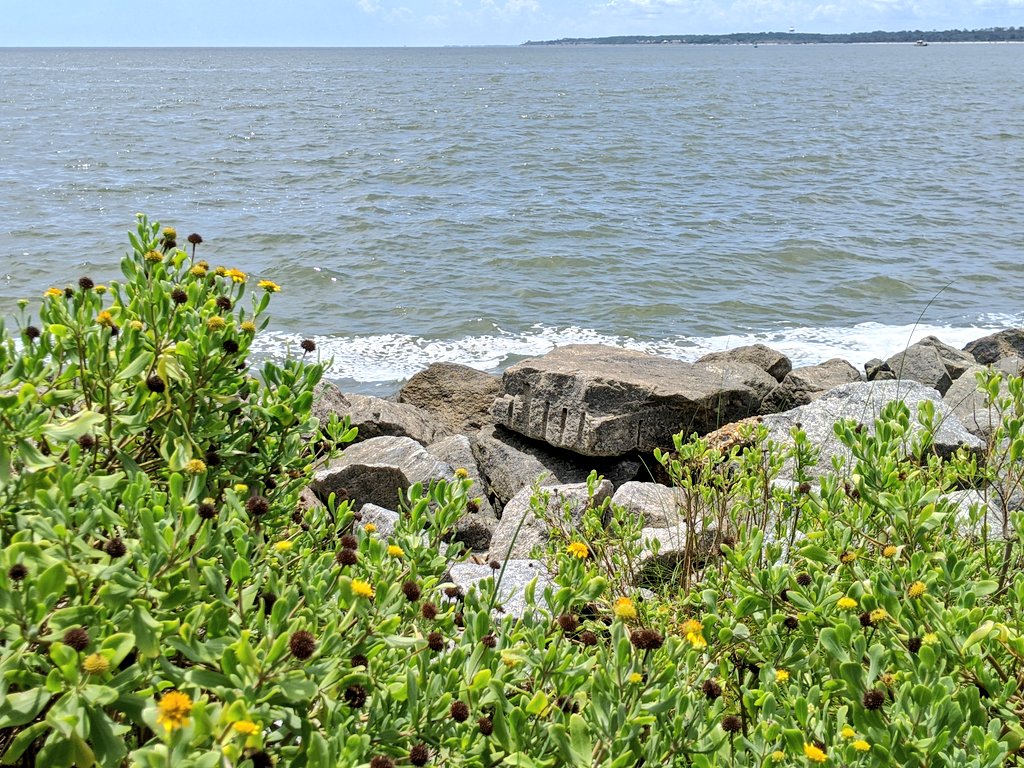 gfreetraveler's tweet photo. We had so much exploring the island of @StSimonsIsland. We were able to visit a few locations such as the @SSLighthouse and WWII coast guard house. We can't wait to go back! Blog post below!

#stsimonsisland #goldenisles #stsimonslighthouse #stsimonspier 

https://t.co/ndTlerQ8B0 https://t.co/sACn8ak5cM