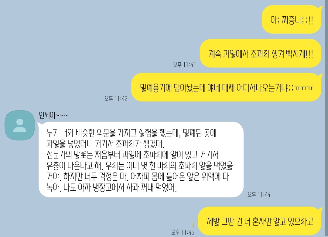 제로게임 카피페 (@zerogame_capipe) on Twitter photo 