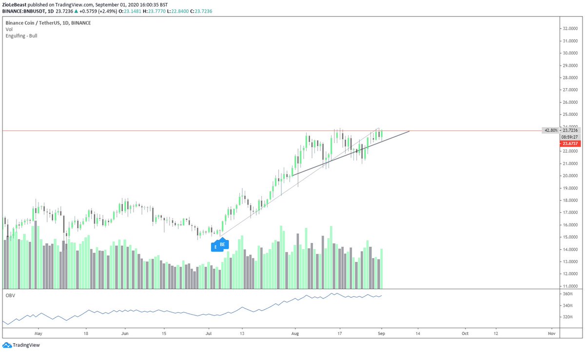 theziowolf's tweet photo. @RookieXBT Add $bnb brother. About to break out on usdt pair. https://t.co/pHv9GLDDyx