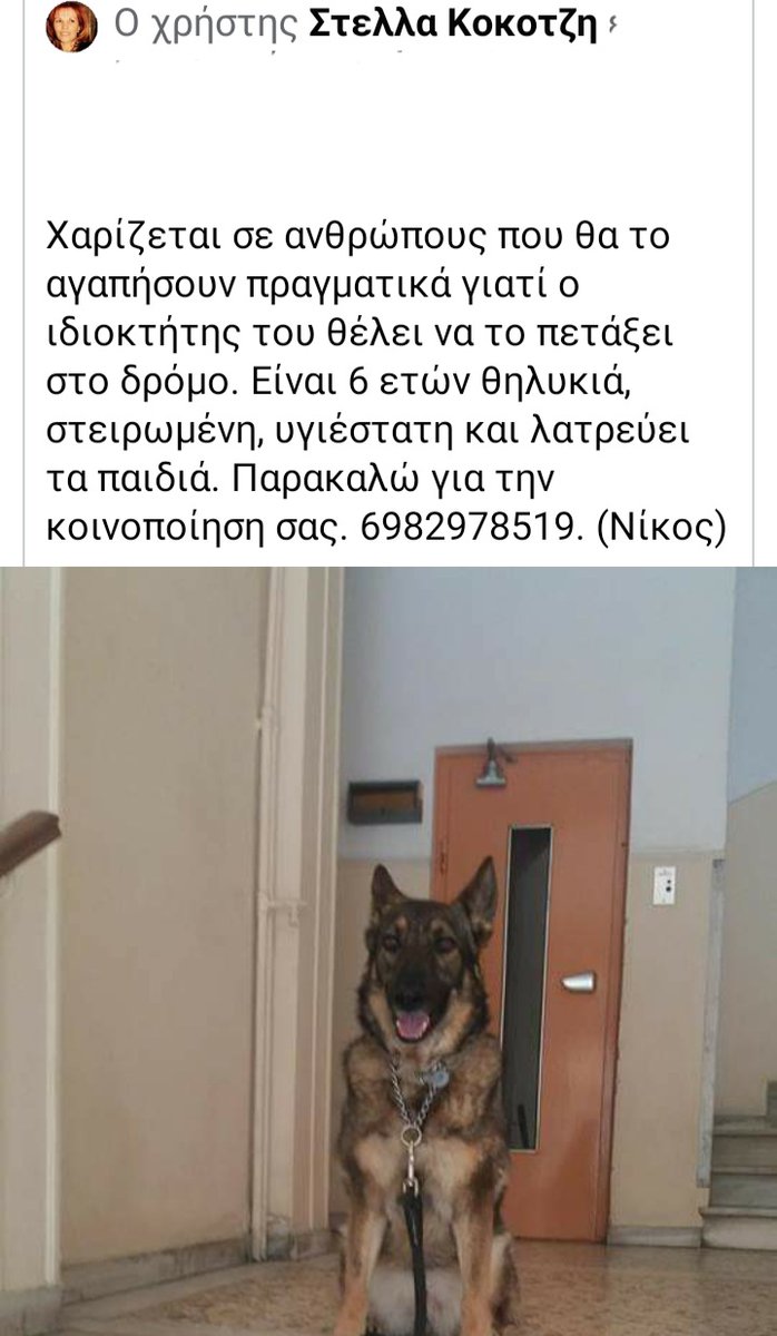 Αδεσποτος (@adespotos_) on Twitter photo 