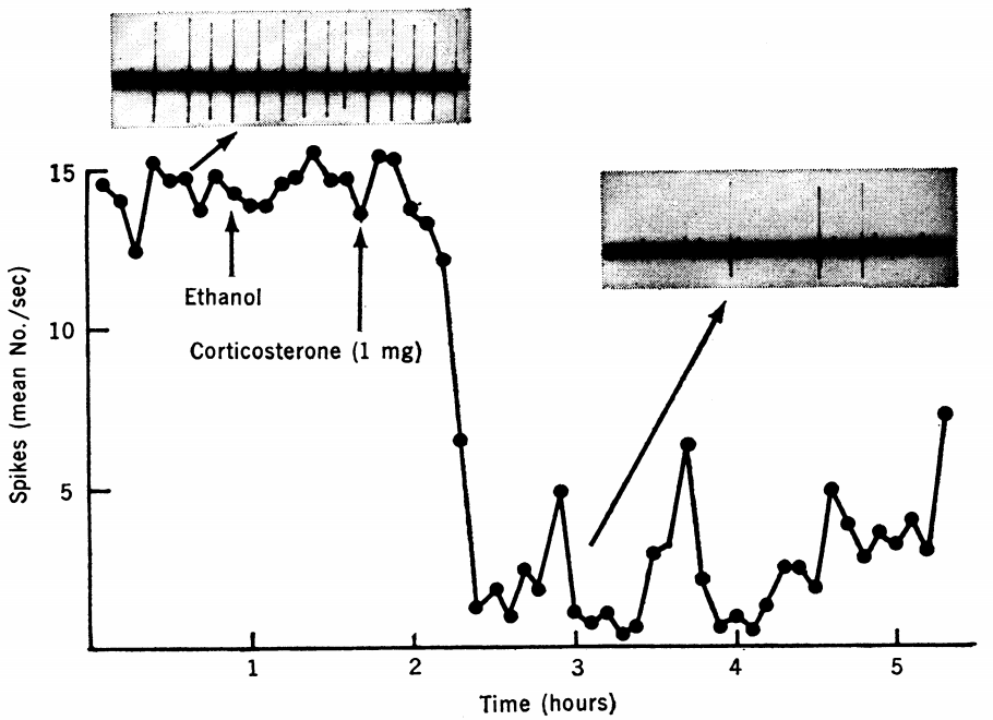 4/ In support of this timeline, I found an old study that seems futuristic for 1971! Pfaff et al showed that CORT injection in rats suppressed hippocampal single-unit activity (in awake rats!) within 10-40minutes, effects that lasted for at least 2 hrs.  https://science.sciencemag.org/content/172/3981/394.abstract