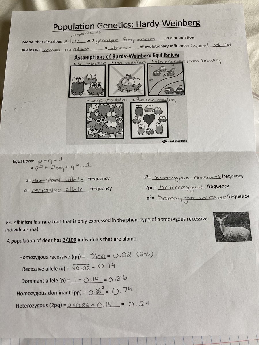 Population Genetics: Hardy-Weinberg