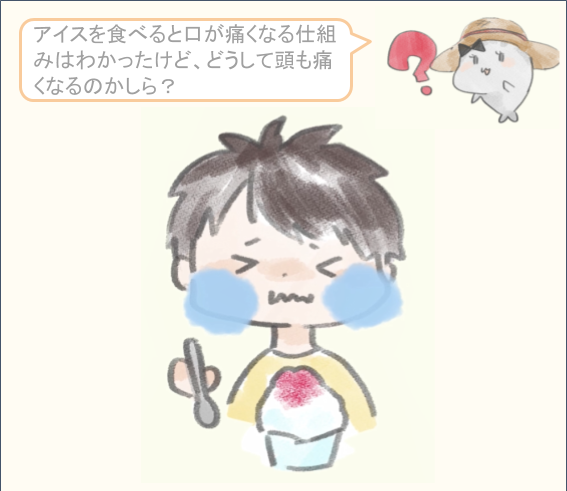 アイス アイスやかき氷を食べると頭が痛くなるのはどうして 三叉神経に だいふくアカデミーの漫画