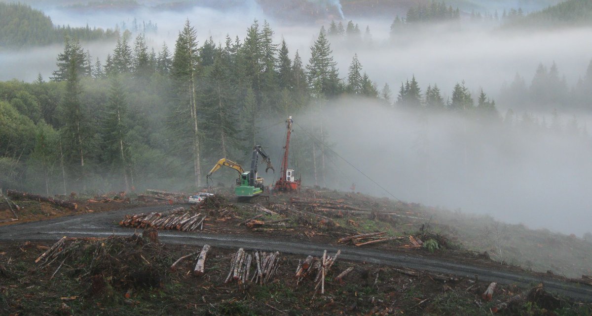 WSRCO's tweet photo. Starting today, you can apply for a grant to conserve Washington forestland under RCO's newest grant program. Community Forest Program grants must be used to buy at least 5 acres of forestland, which must be maintained as forestland forever. Learn more: https://t.co/fmRa2PM1Rs https://t.co/YvCWpgI5UY