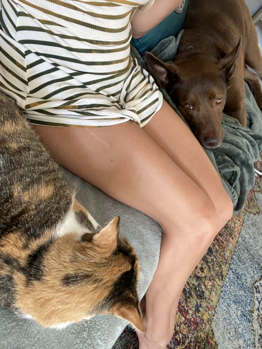 Surrounded by love bugs https://t.co/YBeNSH2FuM<a href="/tag/sundayselfie"class="tags"><span>#sundayselfie</span></a>