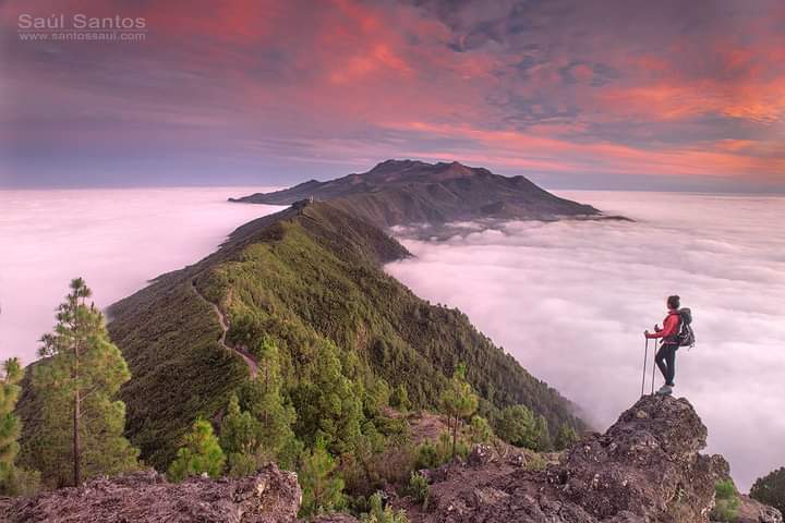 Fry Cob 🇮🇨 🔻 🏍 tweet media