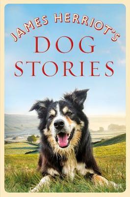 Dog Stories by James Herriot
Here are the complete dog stories from his much-beloved memoirs: a handsome collection of tales, available for the first time in trade paperback, that will warm the hearts of dog lovers around the world. #NonFicSpotlight
Animals &amp; Pets, 636.708 HER