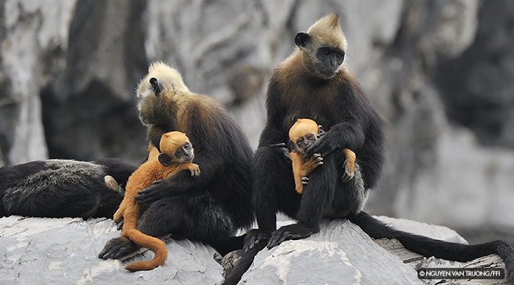 WCS Education on Twitter: