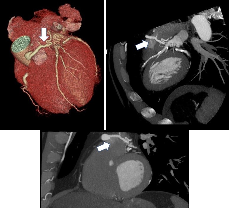 Seth Uretsky tweet media