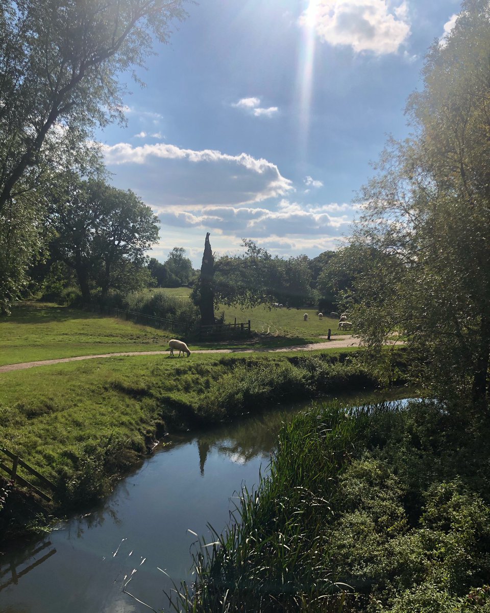 Poojipants's tweet photo. Afternoon stroll #Mklife #lovemk https://t.co/J1gGY0M9X8