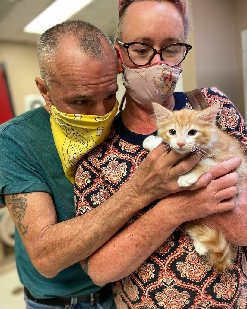 EspanolaHumane's tweet photo. With a constellation of love like that, we know Orion’s furure is twinkling and bright. Wishing celestial naps and astronomic playtimes to these three 🌟 We have more purrfect kittens available on our website!

#espanolahumane #moreloveperpaw #adoptdo… https://t.co/G9mxOyKwm4 https://t.co/9nNQjTIGPE