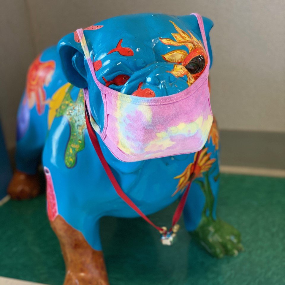 BridgesProgram's tweet photo. Boomer the Bridges Bulldog. Keeping everyone safe. #schoolyear2020 #BridgesProgram #BoomerBridges #SafetyFirst #MaskUp https://t.co/rAtnesBl4X