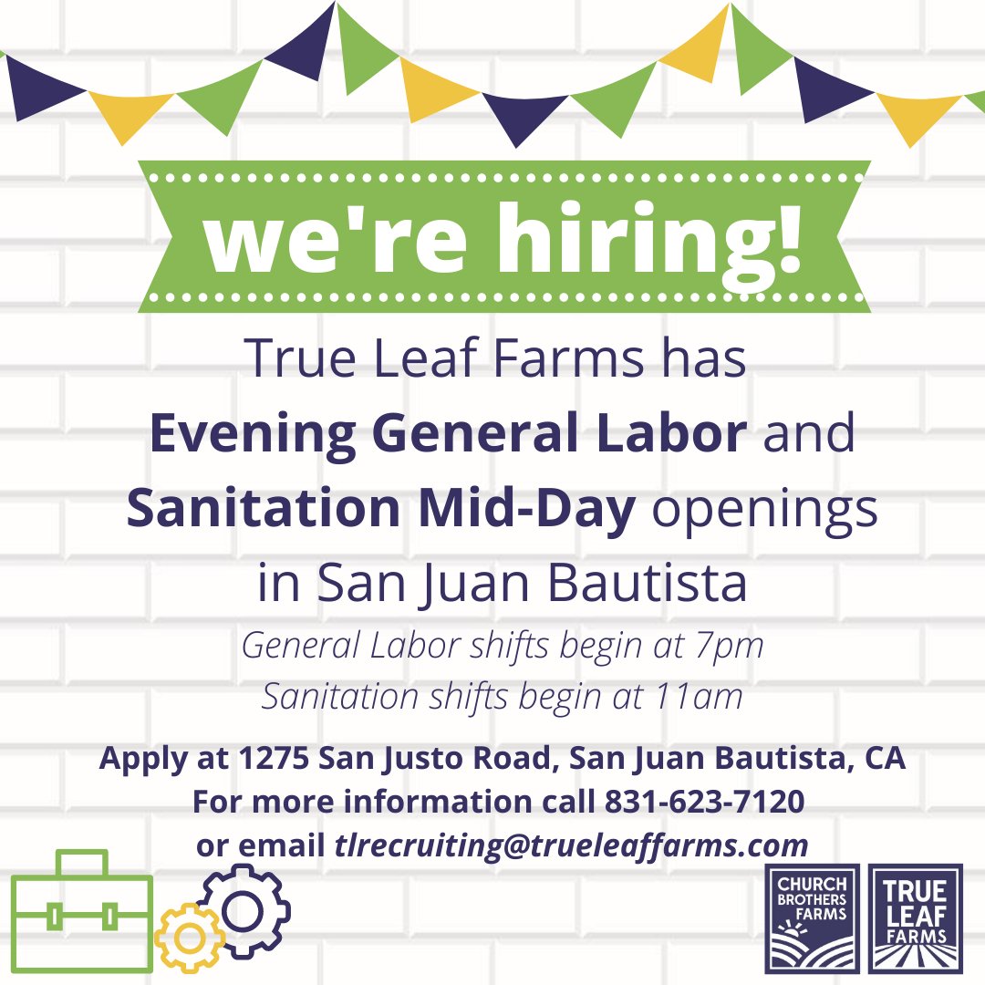 trueleaffarms's tweet photo. True Leaf Farms is hiring! See details above. Please spread the word and apply!
¡Estamos contratando! Solicite en 1275 San Justo Road, San Juan Bautista. Para obtener más información, llame al 831-623-7120 o envíe un correo electrónico a tlrecruiting@trueleaffarms.com https://t.co/2qSgDDODuK