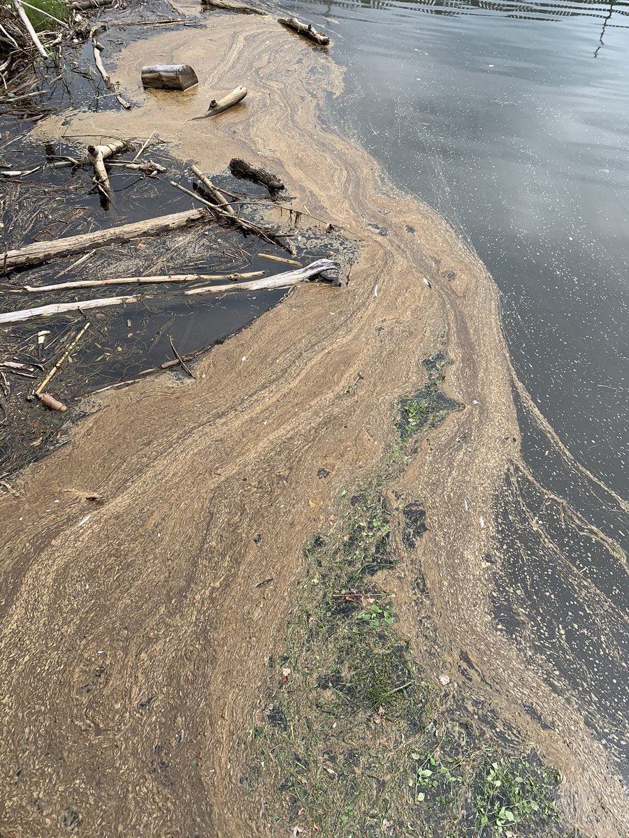 Can someone from <a href="/healthvermont/">VT Dept of Health</a> or <a href="/vtanr/">VTANR</a> test the Winooski at the <a href="/GreenMtnPower/">Green Mountain Power</a> Hydro One for  cyanobacteria, please? Thank you. 

#ThinkVT <a href="/winooskivt/">City of Winooski</a>