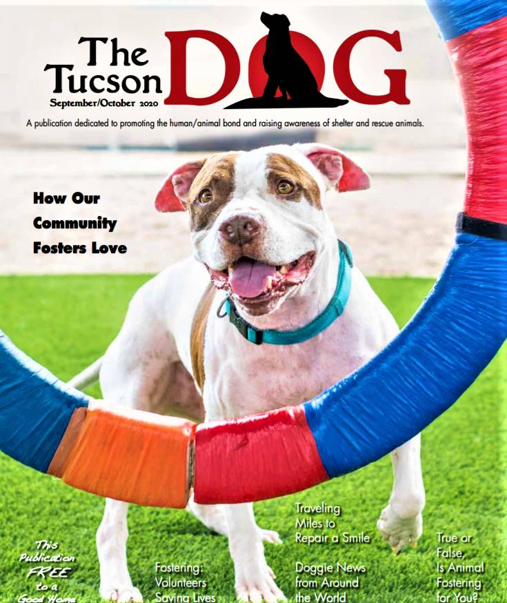 Check out the latest issue of the Tucson Dog magazine (Sept/Oct) focusing on fostering shelter animals. It's available online or at various distribution points throughout Tucson. Visit our website for more info. #AnimalFostering #AdoptDontShop #dogs