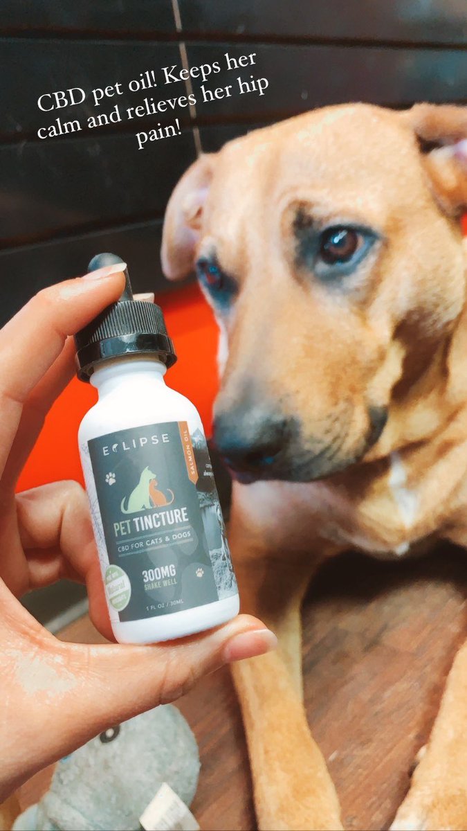 CBD oil for cats and dogs! #houstonsmokeshop #homiezsmokeshop #TuesdayMorning #dogsoftwitter #houstoncbd #cbd #chill #tuesdayvibes