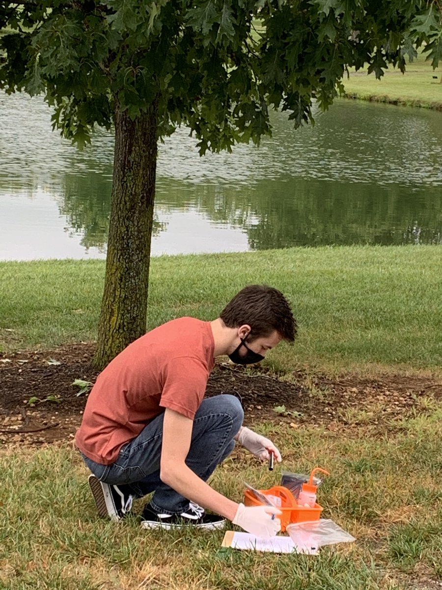 sccsciencedept's tweet photo. Covid-19 is not stopping these Tiny Earthlings! @TinyEarthNet https://t.co/QksjrWjb2X