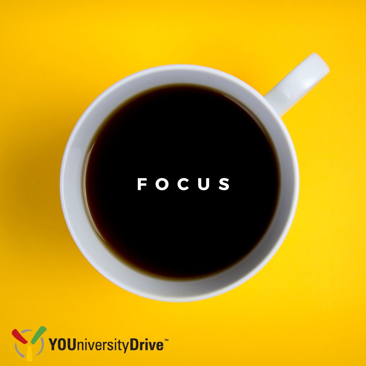 YOUniversity Drive tweet media