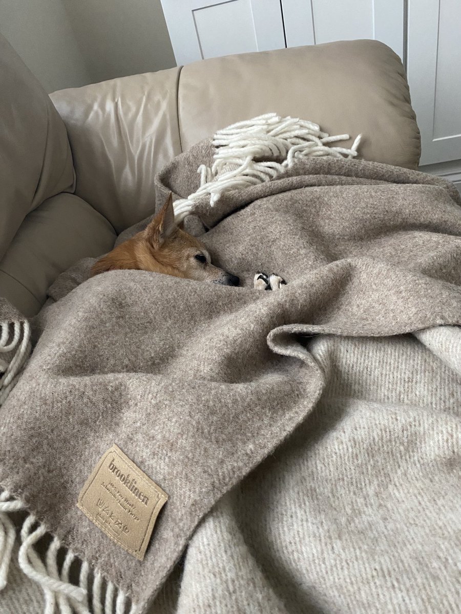 bbb95's tweet image. Cozy #barklinen