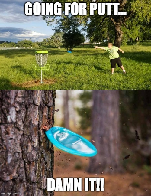 CryptoDGSz's tweet photo. #discgolf be like: https://t.co/N2ChDt8feu