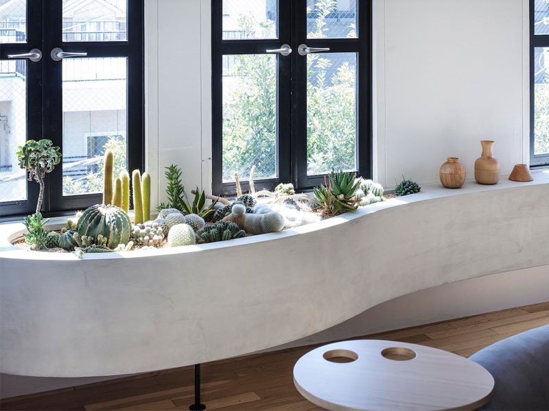 Jardin de Cactus, une Touche Nature et Déco dans la Maison.

#homedecor #apartment #Cactus #garden #nature #architecture #design #maxitendance 

maxitendance.com/2020/08/jardin…