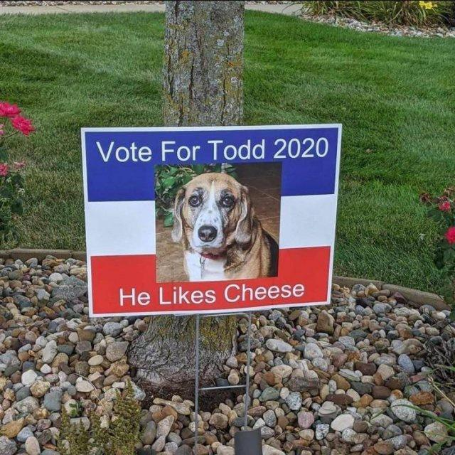 #Todd2020 

imgur.com/gallery/r9QVAWE