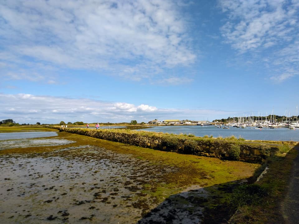Brynwales's tweet photo. Scenes from a bank holiday walk from St Helens to Seaview on the #IsleofWight - I've been living on the island for over 8 years and I'm still finding new walks and beautiful vistas https://t.co/1SBnfBOJyJ