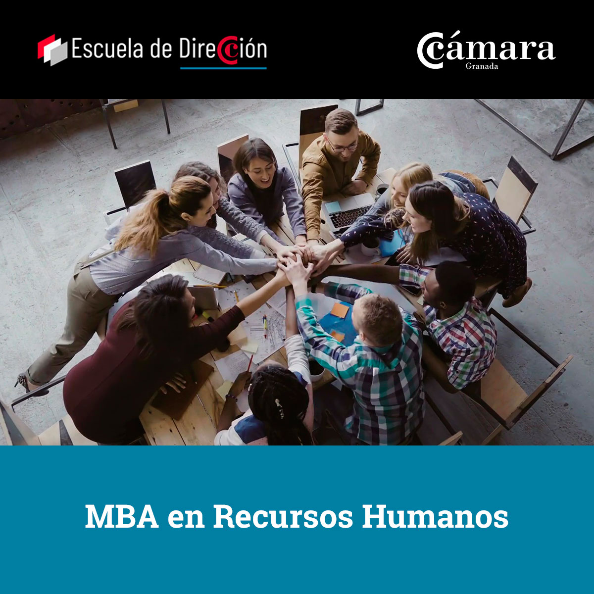 ediae. Escuela de Dirección y Altos Estudios tweet media