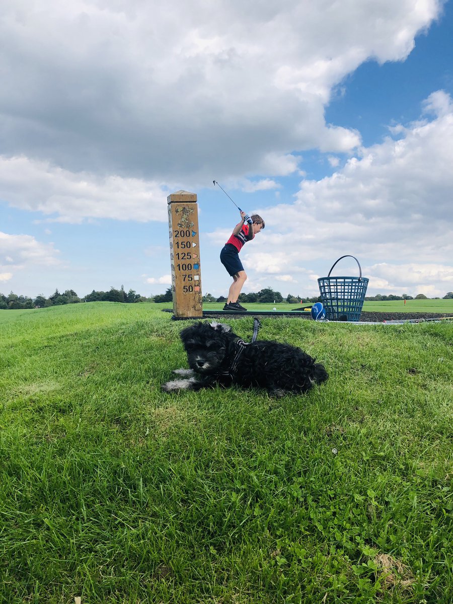 Paul Monks tweet media