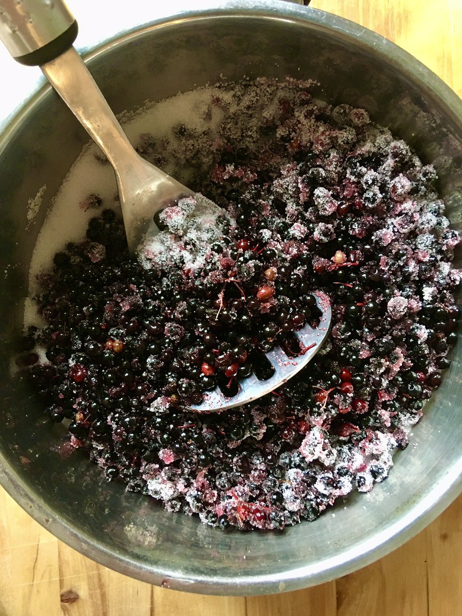ChefSalisbury's tweet photo. More foraged food being made into nutritious deliciousness. Here elderberries being made into a cordial, packed with vitamins and flavonoids. 

#eatlocal
#privatechef
#performancechef
#eliteathlete
#forage https://t.co/CfUJFbSfgW