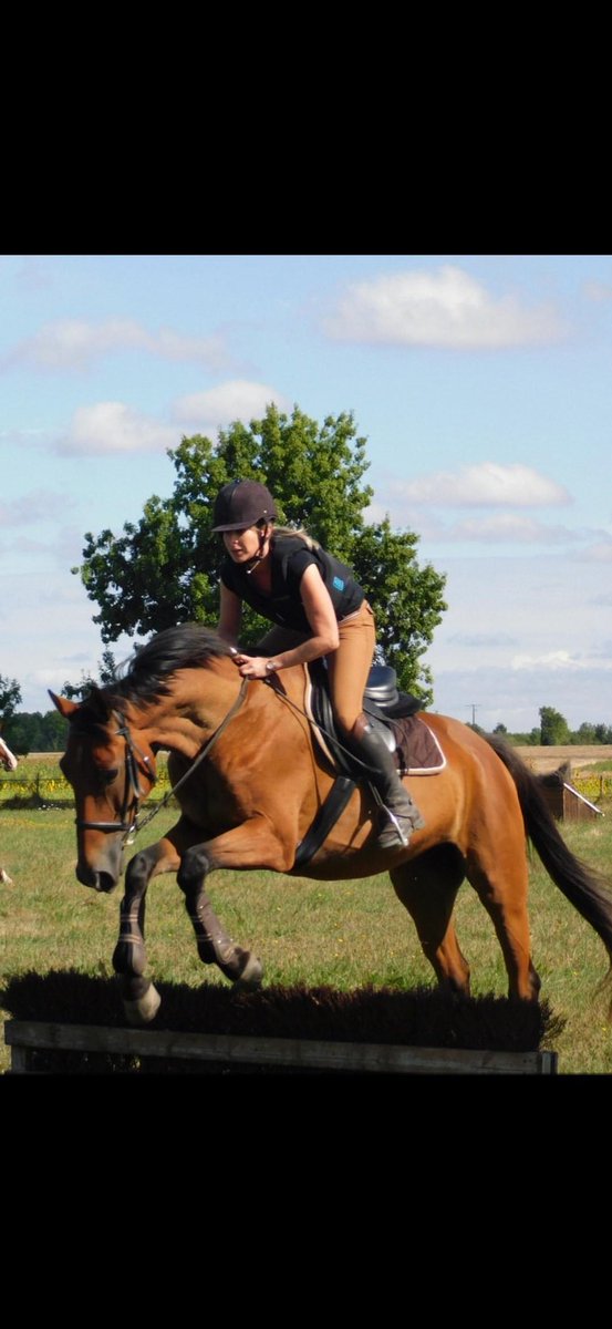 H2oCeline's tweet photo. Venez vous inscrire à la pratique de l’équitation au Marouillet en Charente Maritime :Le Marais en Selle ! https://t.co/hT6Wbt2XOG https://t.co/FSoUec2xJr