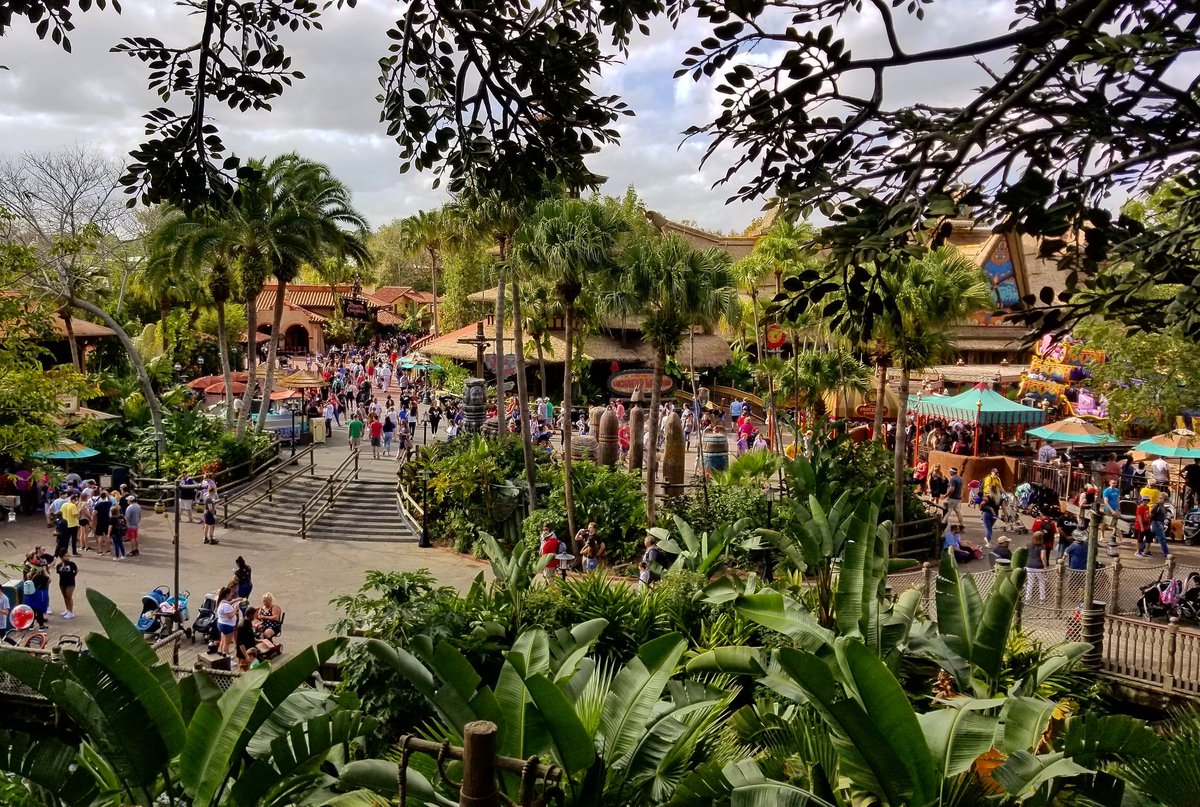 We miss looking down on Adventureland from the Swiss Family Treehouse.

#adventureland #swissfamily #swissfamilyrobinson #swissfamilytreehouse #views #magickingdom #wdw #disneyworld #waltdisneyworld #disneyparks #disney