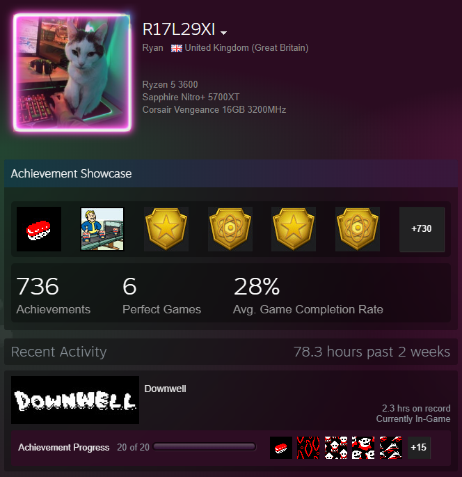 Downwell hard mode is now my rarest achievement 😎
