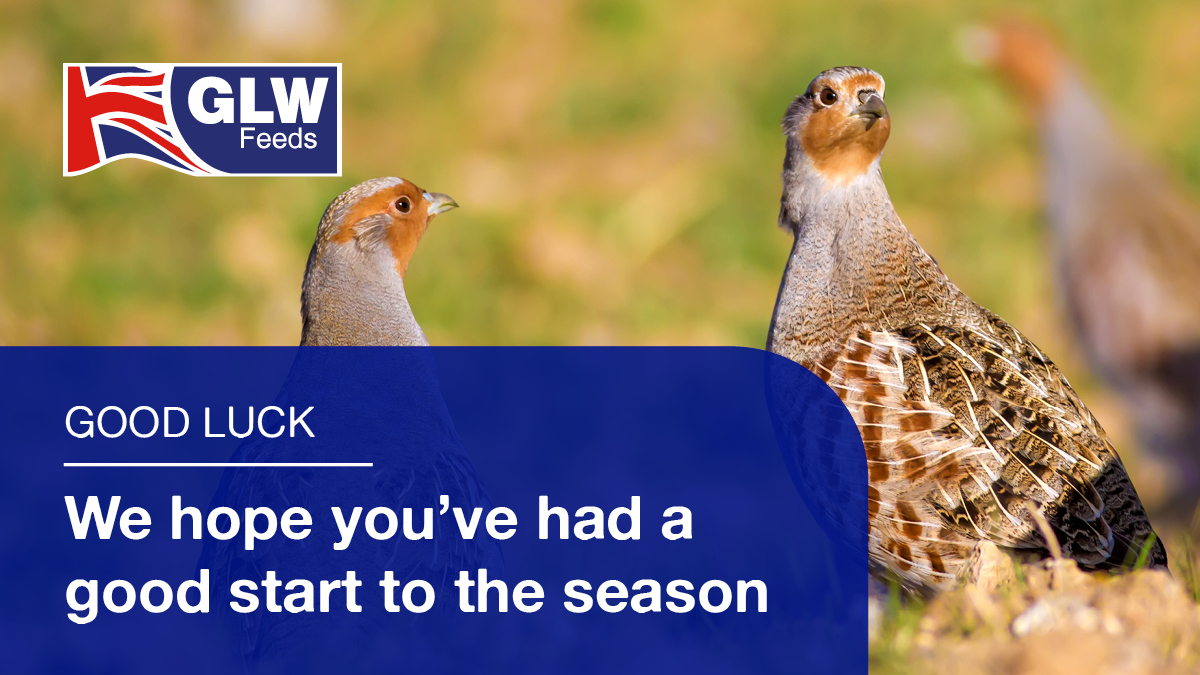 GLWFEEDS's tweet photo. ITS THE 1ST!

Did you have that #TopGun out today or were you barrelled over?

Show us your pictures of that #HighBird as the season progresses!

We hope you all had a good opening day! Remember if you’re rearing game birds our #TopGun feeds are here to get your birds flying high https://t.co/bhbBX8x5NM
