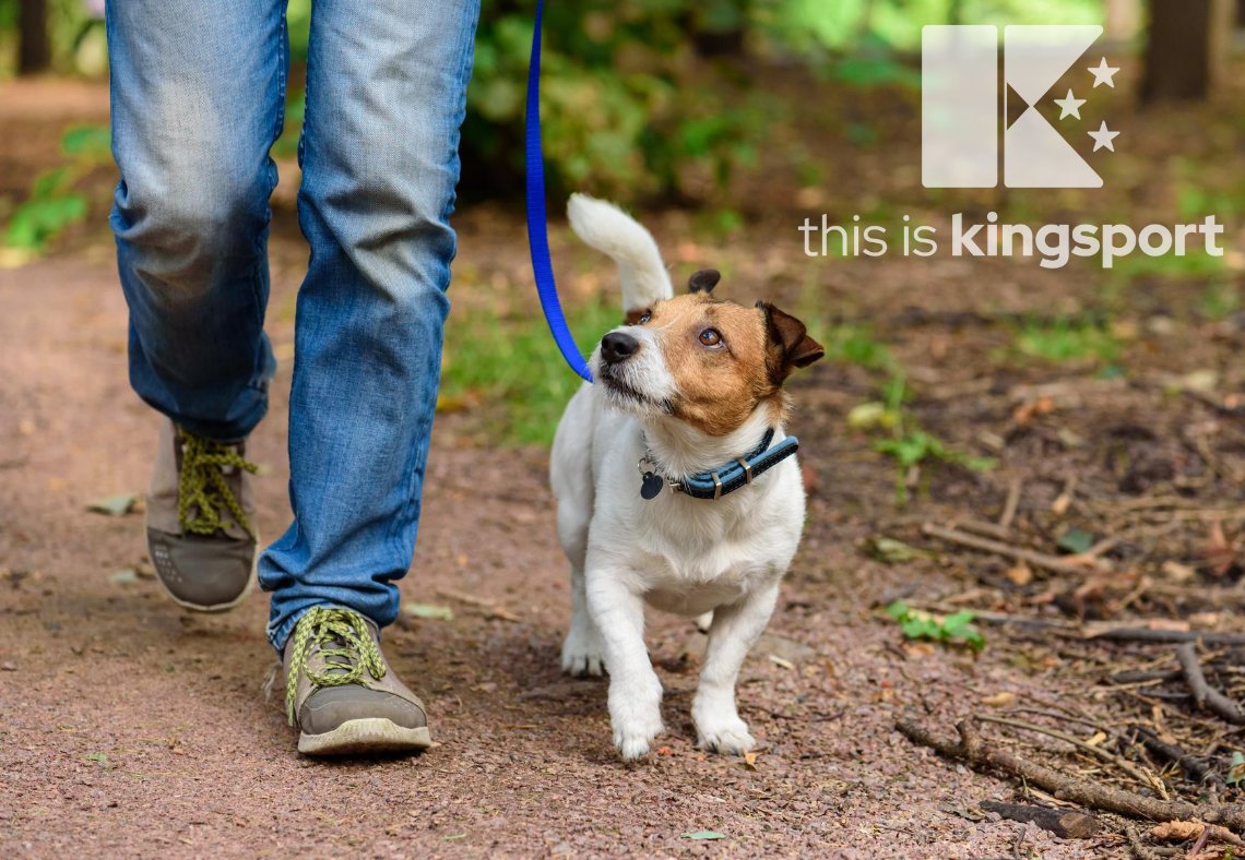 ThisIsKingsport's tweet photo. While we continue to observe COVID-19 guidelines, there is still plenty of fun to be had at #WarriorsPathStatePark. Whether it’s camping, biking, hiking, golfing or any number of other fun activities, you’ll find plenty to keep you moving. #ThisIsKingsport https://t.co/Pr1oTlVTfP