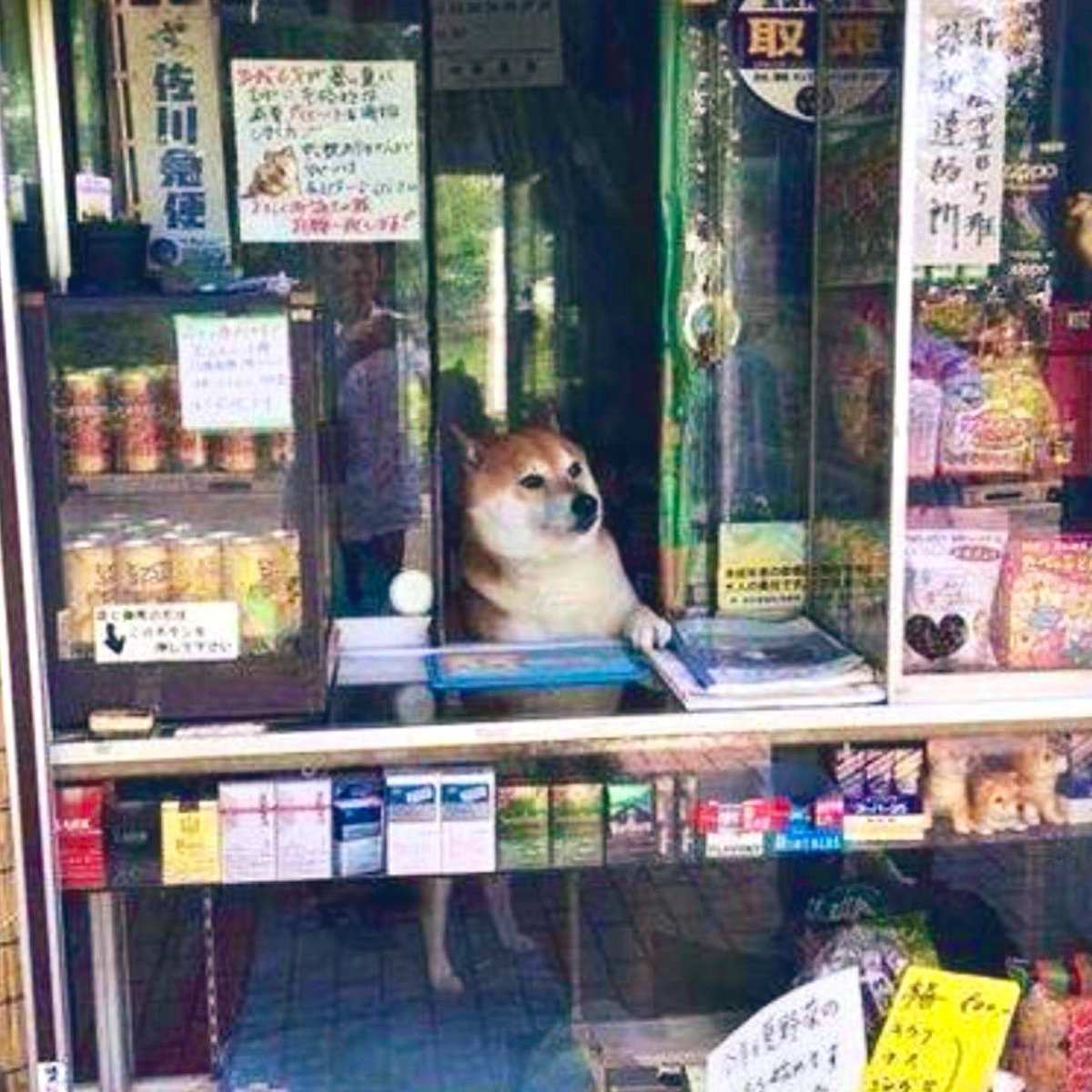 No hay enfermeras ninio solo masibon.
