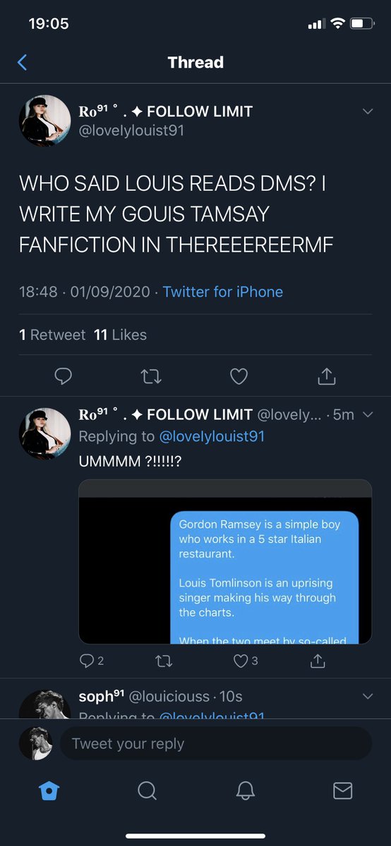 Some new information has come to light since I posted this thread.  @loveIylouist91 also writes some pretty weird fanction about Louis and I don’t think it’s acceptable.
