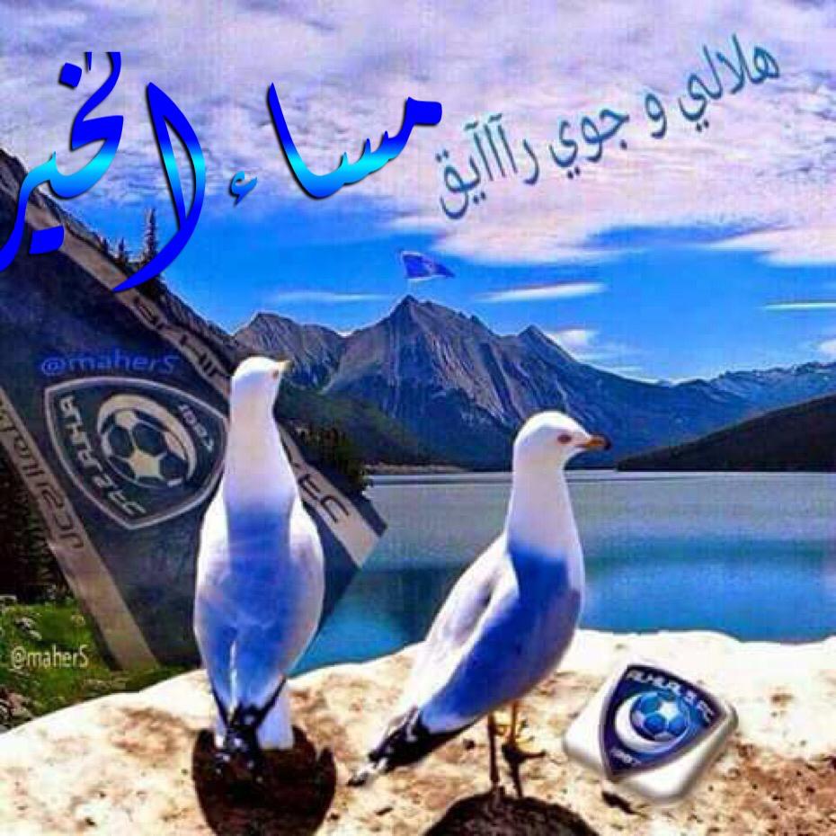 مساء الخير والمحبه 💙