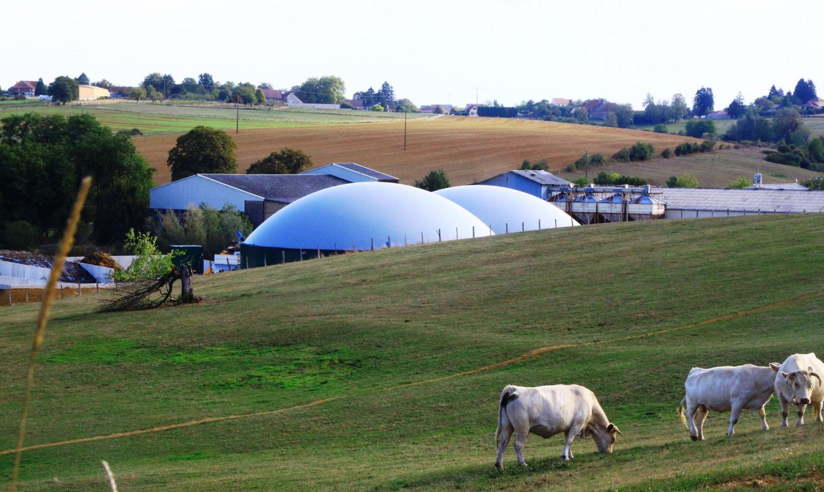 L'unité de #methanisation agricole Methacance 🚜🐄🌿 à @Fontenaisurorne injecte ses 1er m3 de #gazvert dans le réseau <a href="/GRDF/">GRDF</a>, soit par an l'équivalent de la conso de 850🏘ou 45 🚍. <a href="/VilleArgentan/">Ville d'Argentan</a> devient la 1ère commune normande 100 % autonome en #gaznaturel ♻️ 👏