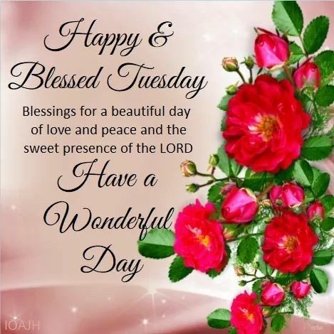 Good morning, afternoon, or evening to all my Twitter friends and family in Christ. Praying your day is blessed with all your needs and prayers IJCN. Amen.