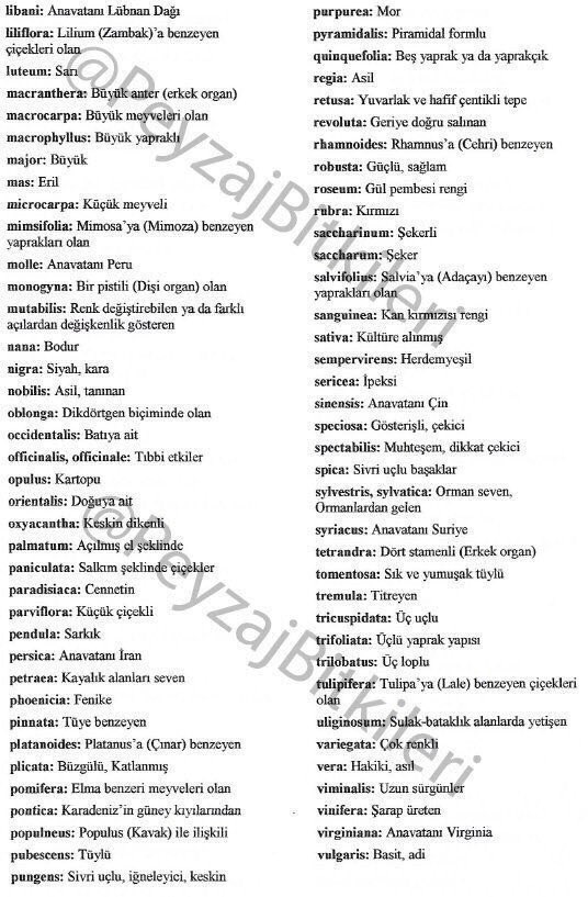 Latince bitki isimlerini öğrenmenizi kolaylaştırırken bitkilerin bazı özellikleri hakkında fikir sahibi olmanızı da sağlayacak birkaç ipucu;
