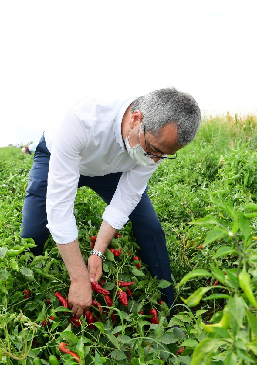 Hayrettin Güngör