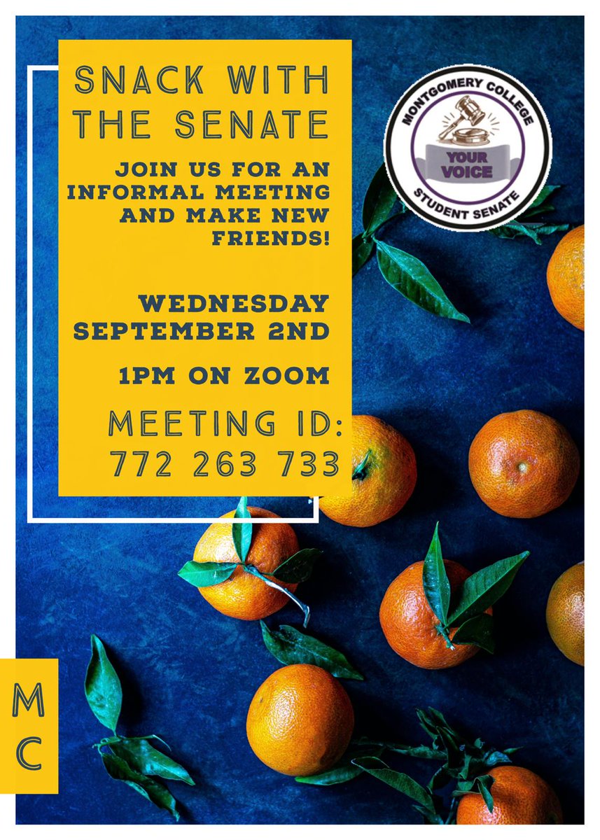 Gt-Senate@MC tweet media