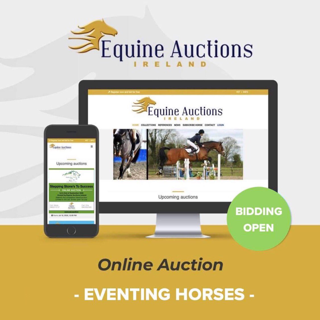 Equine Elite Ireland tweet media