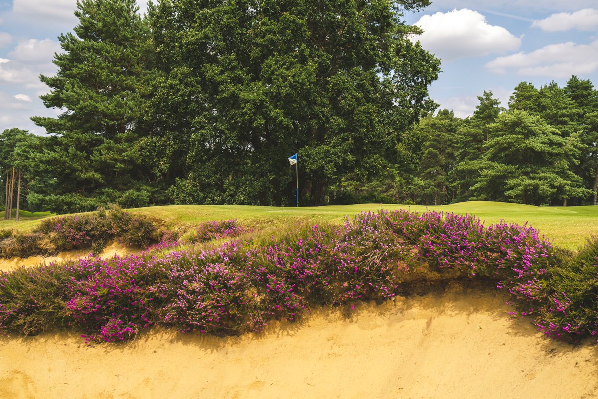 TheBerkshireGC's tweet photo. The winner of our August Twitter competition is @Robinson_Nick 

Congratulations Nick, our Blue course awaits! 🔵⛳️

Thank you to everyone who entered and keep your eyes out for more opportunties to play @TheBerkshireGC https://t.co/BlE3N7kR3I