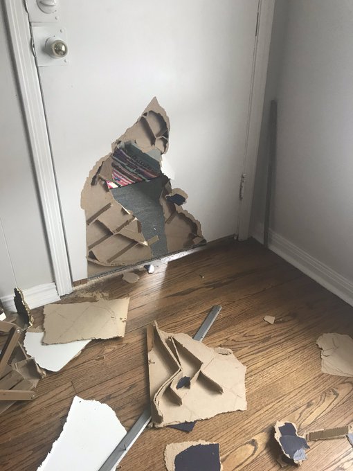 So someone kicked a hole through my apartment door and crawled in.  How has your day been? https://t<a href="/tag/mvsales"class="tags"><span>#mvsales</span></a><a href="/tag/mvcrush"class="tags"><span>#mvcrush</span></a>