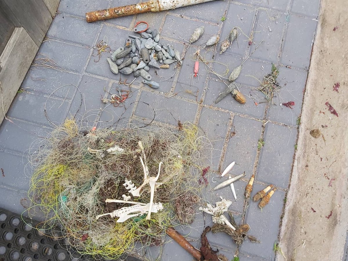 Keep Fin Alive tweet media